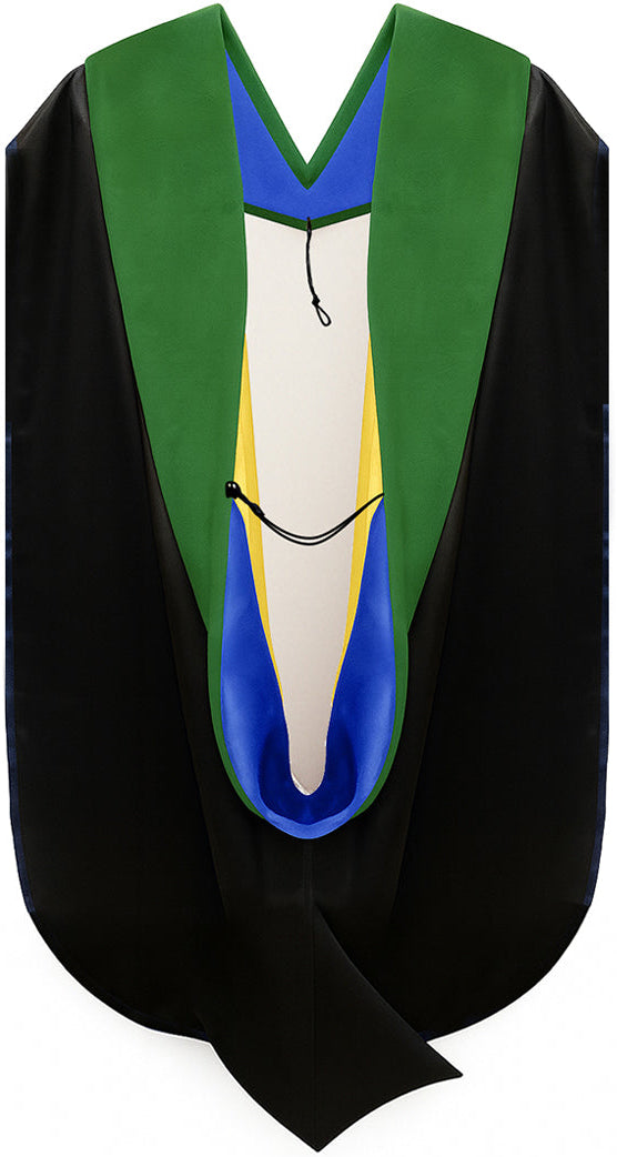 Muceta de Doctorado en Medicina - Azul Francia y Dorado