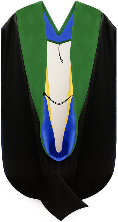 Muceta de Doctorado en Medicina - Azul Francia y Dorado