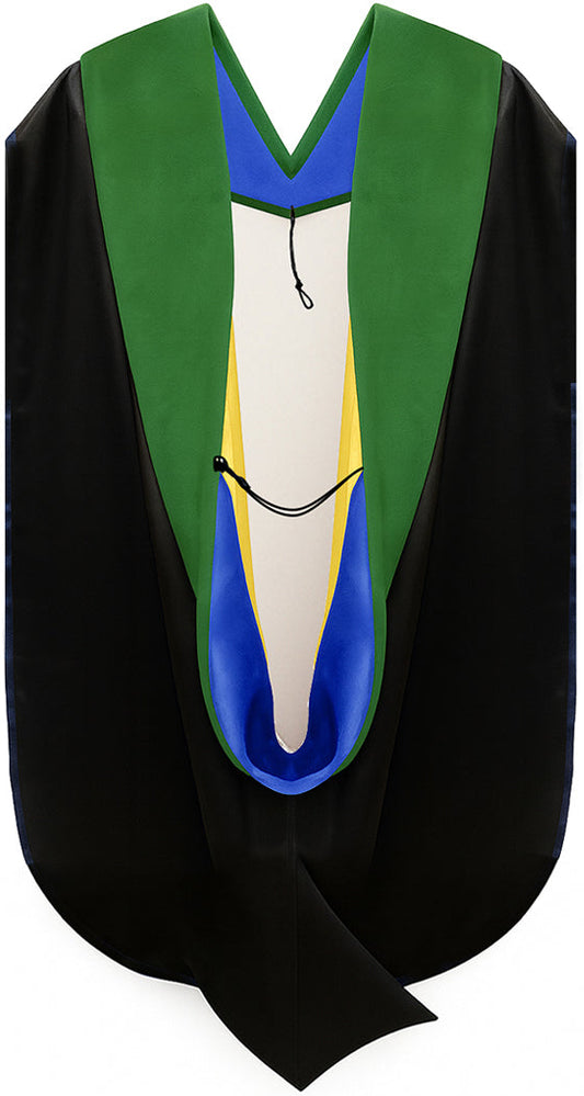 Muceta de Doctorado en Medicina - Azul Francia y Dorado