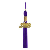 Birrete, toga y borla violeta mate de secundaria - Graduacion